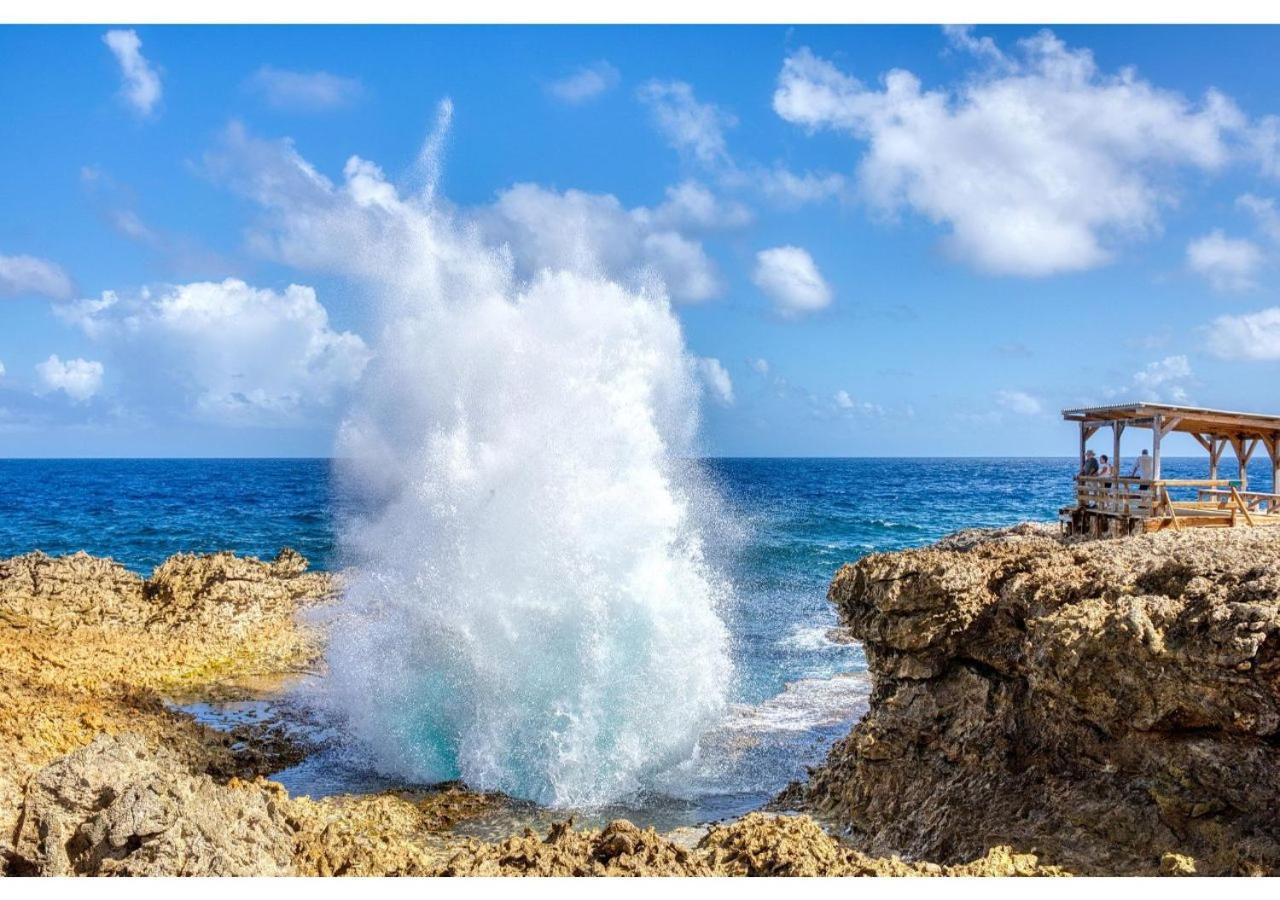 Piscadera Bay Resort 24 ウィレムスタッド エクステリア 写真