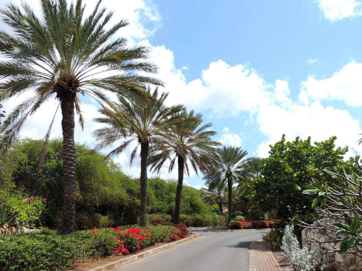 Piscadera Bay Resort 24 ウィレムスタッド エクステリア 写真